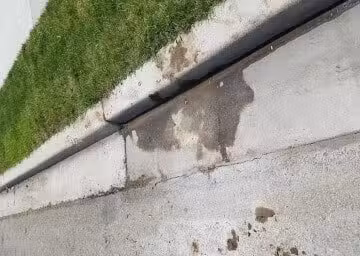 You are currently viewing Boosting Curb Appeal: Transform Your Property with Concrete Lifting