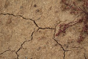 Read more about the article Signs Your Concrete Needs Jacking and Leveling
